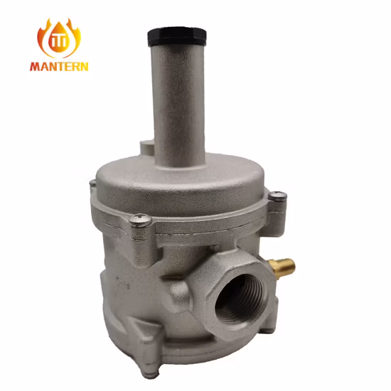 天然ガス調整器 ガスフィルター調整器 (MTGFR01)